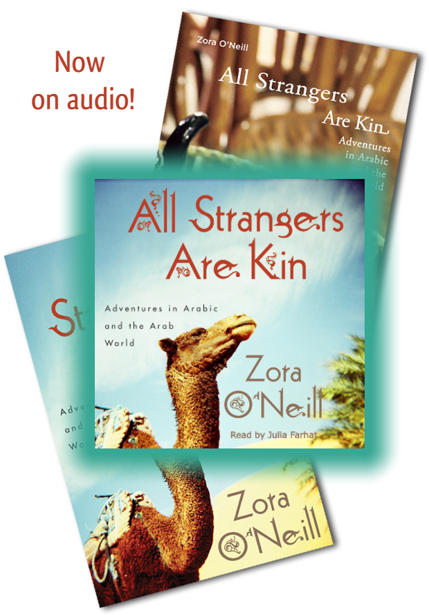 Collage of all three covers of All Strangers Are Kin: paperback with mint tea glass, hardcover with camel, and square with camel for audiobook